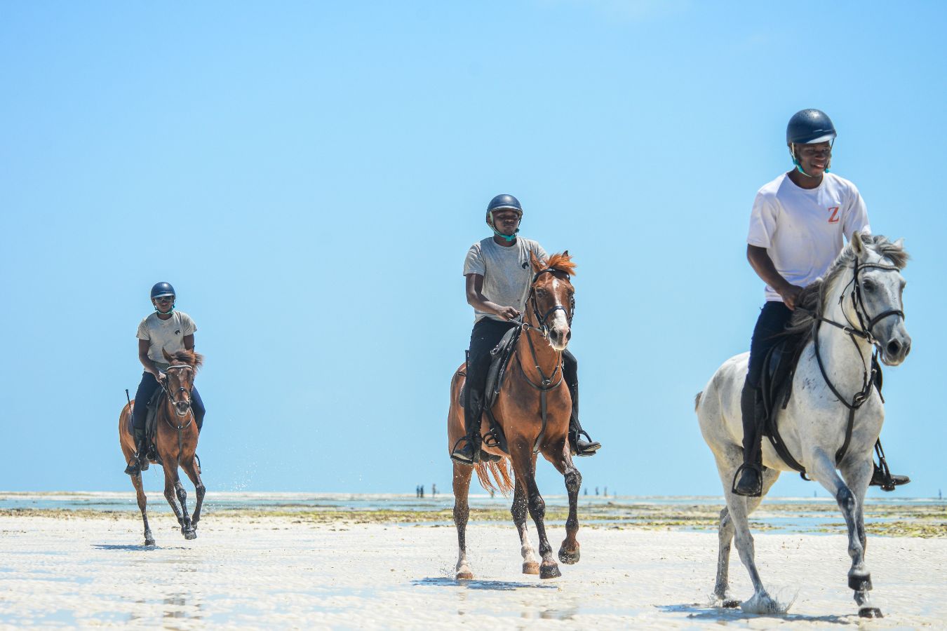 Important Information Zanzibar Horse Club